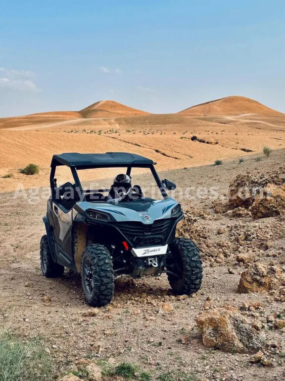 Buggy + Diner Onder de Sterren